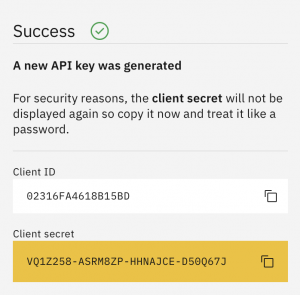 API key success page